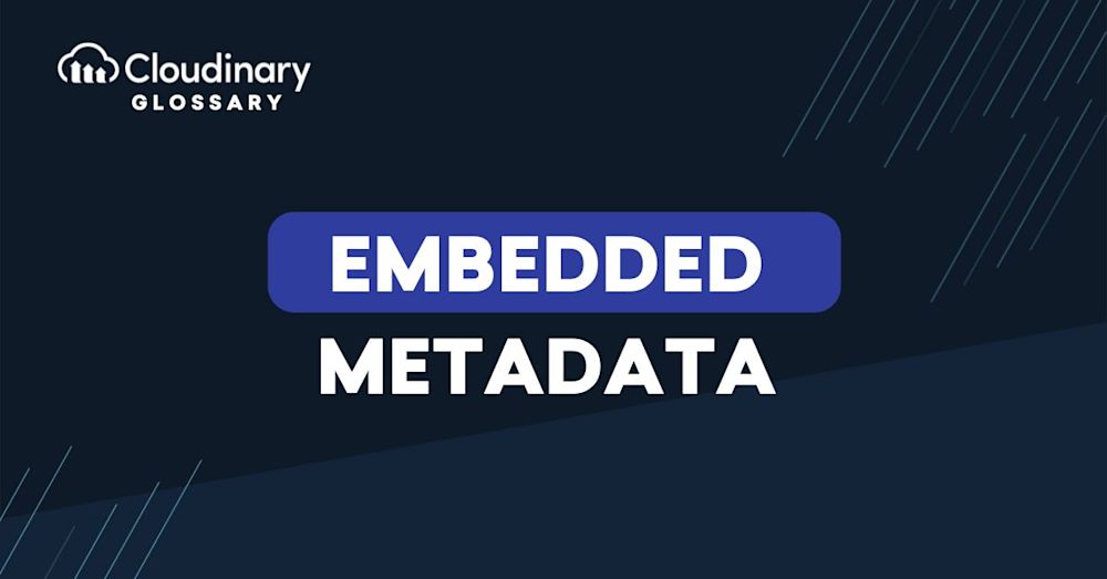 Embedded Metadata header