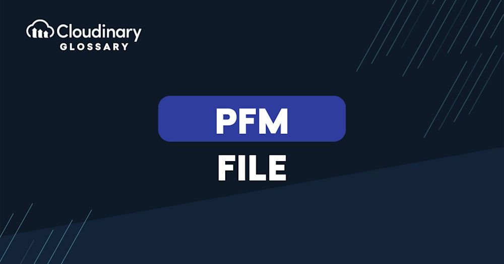 PFM File