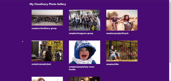interactive photo gallery