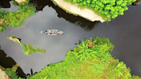An aerial shot of a row boat in a river banked with bright green tropical plants.